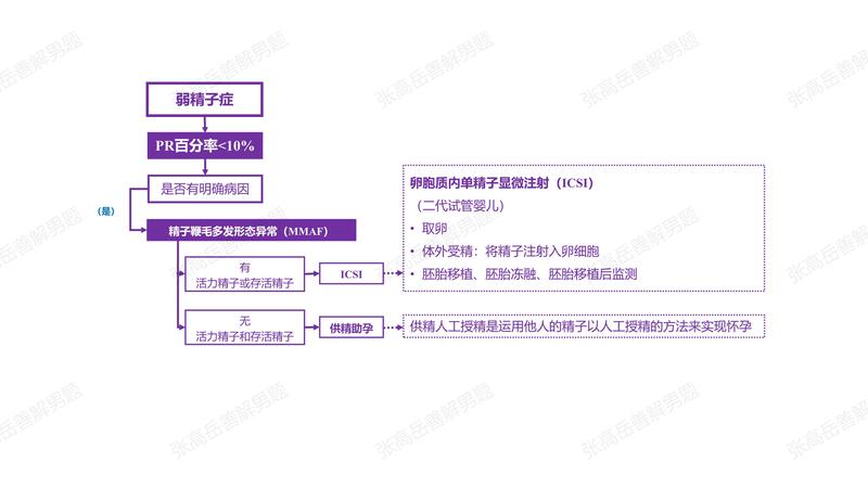 男性不育：弱精子症（MMAF）.jpg