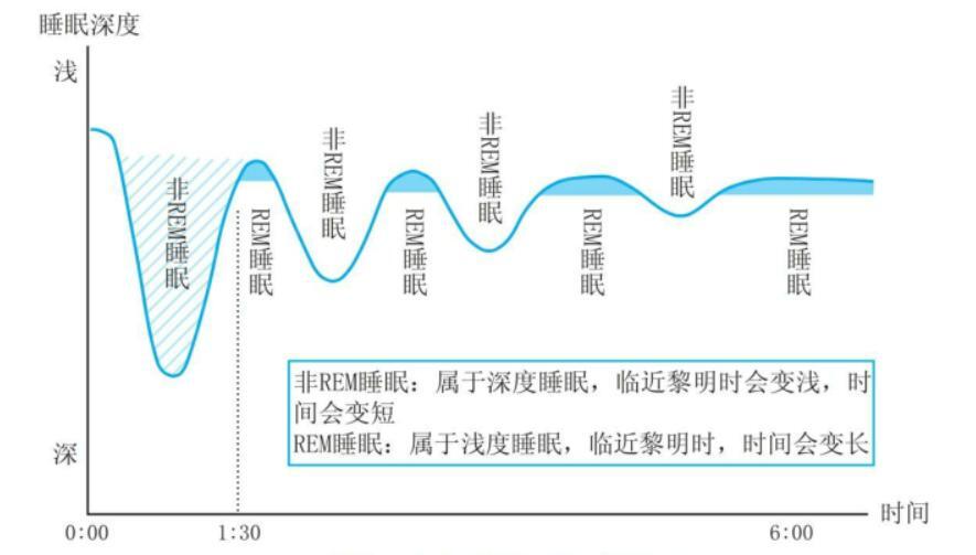 睡眠时身体在做什么