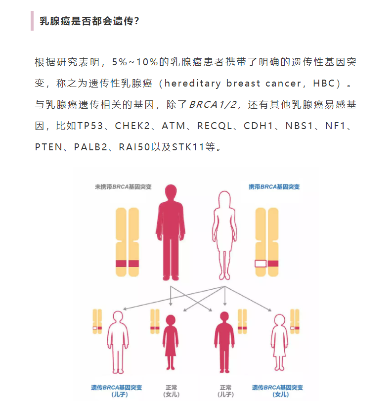 乳腺癌_介紹_檢查 - 好大夫在線