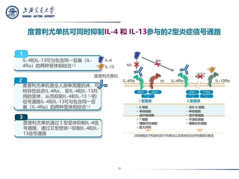 哮喘靶向药物治疗进展2024 李锋_30.jpg