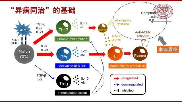 图6.jpg