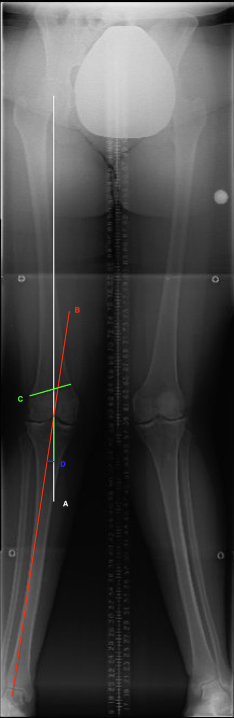 Fig. 4封面.png