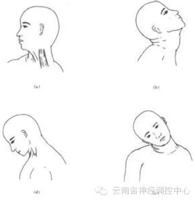 圖文圖片