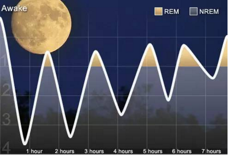 人人必學的睡眠入門知識:看圖認識睡眠障礙!