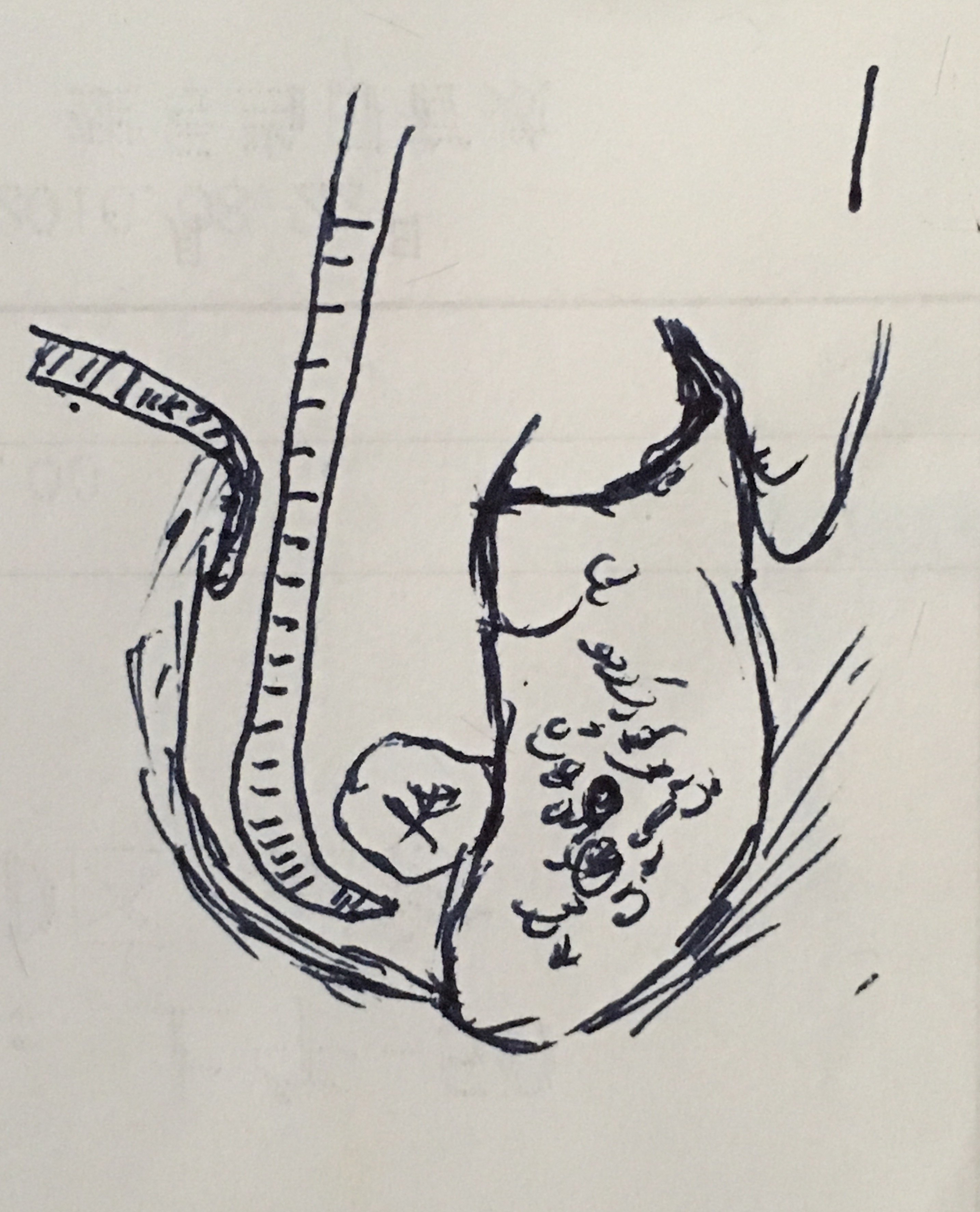 暂无