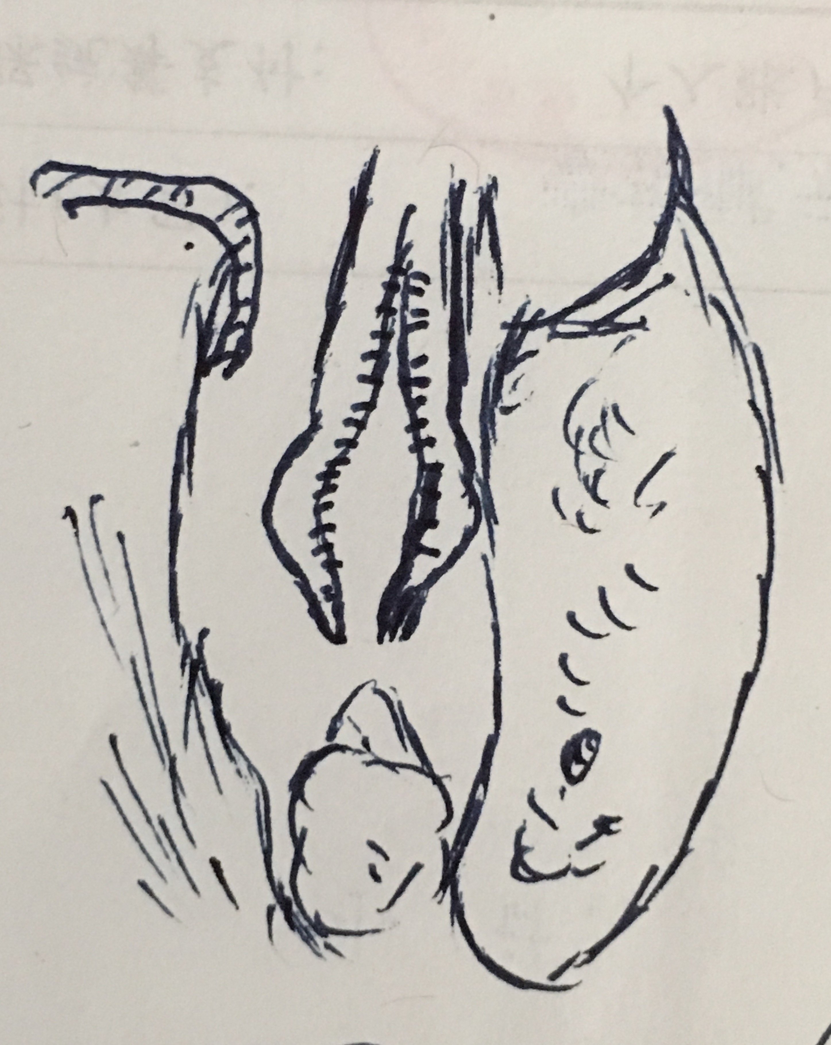 暂无