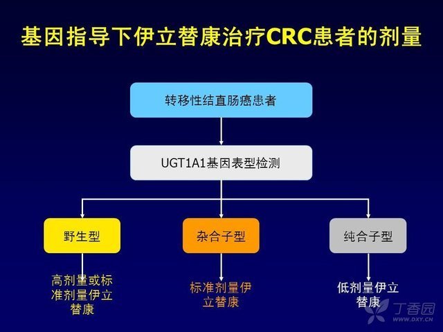 伊立替康与ugt1a1基因多态性