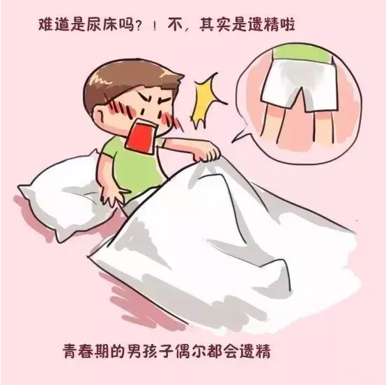 对于13-14岁的孩子:13-14岁的孩子需要了解的是月经,遗精等现象出现的