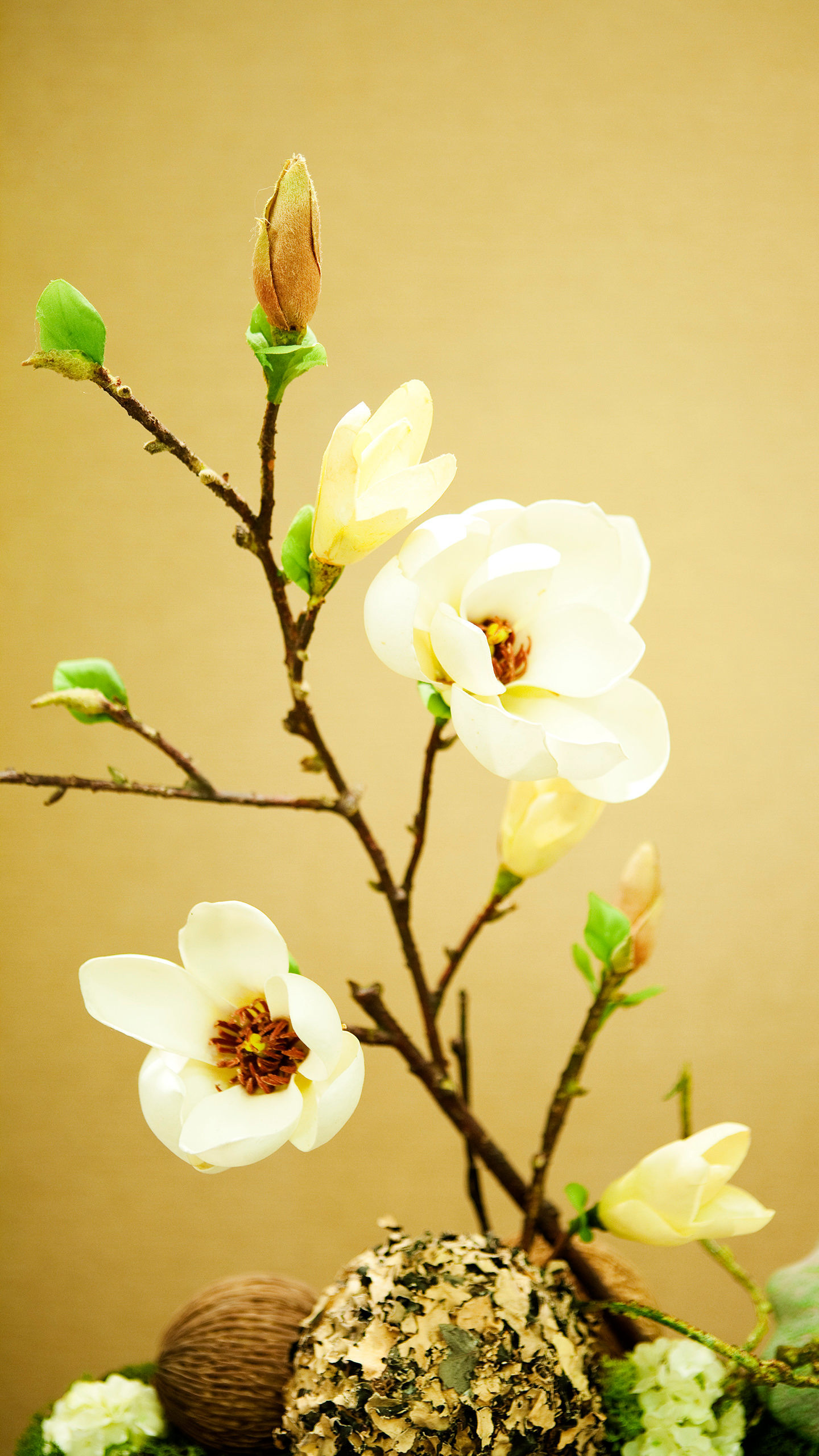 暂无