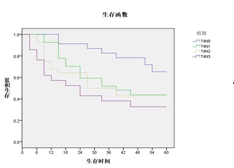 胃癌存活率图片