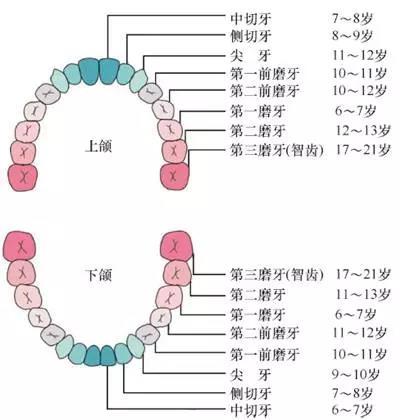 微信图片_20200216160827.jpg