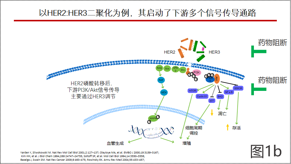 图片1-2.png