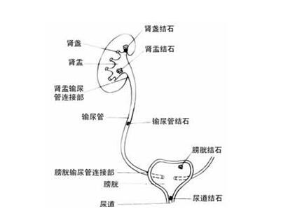 暂无