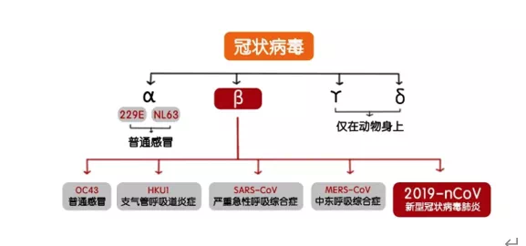 暂无