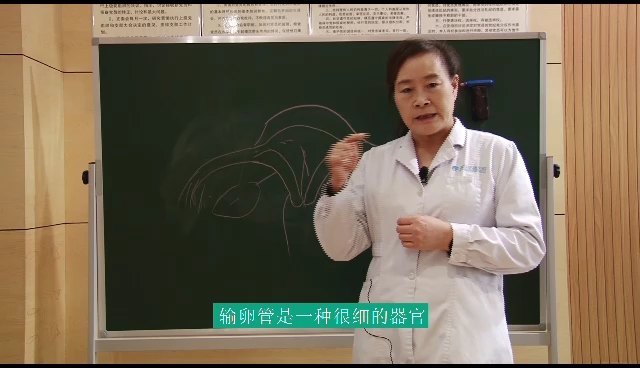 視頻封面
