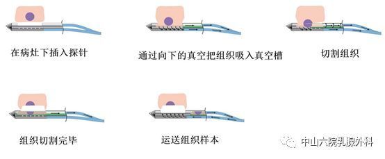 暂无