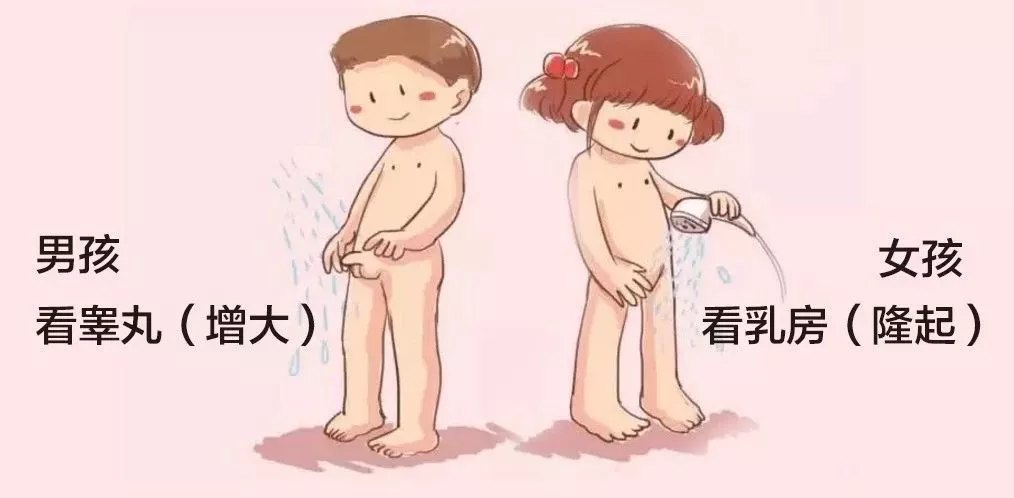 性发育开始标志」