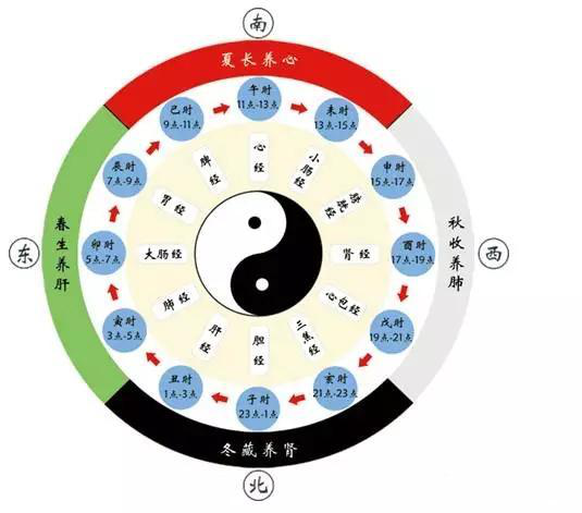中医的子午流注十二时辰养生法,是一套完整的养生体系,是人与自然和谐