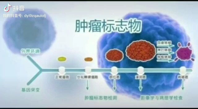 默认图片