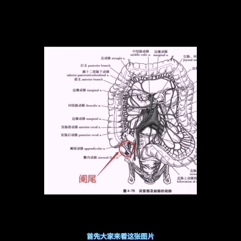 默认图片