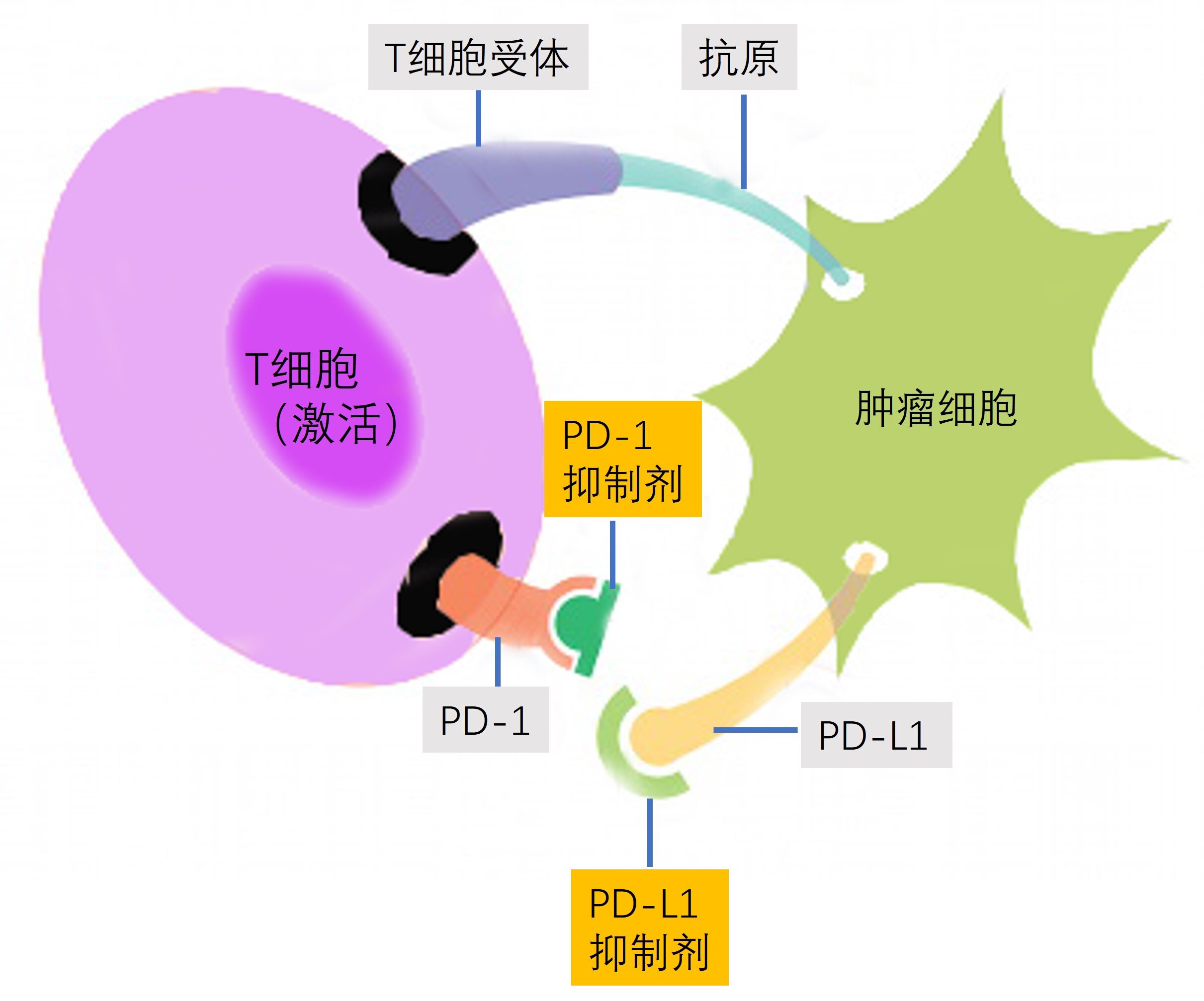 圖文圖片