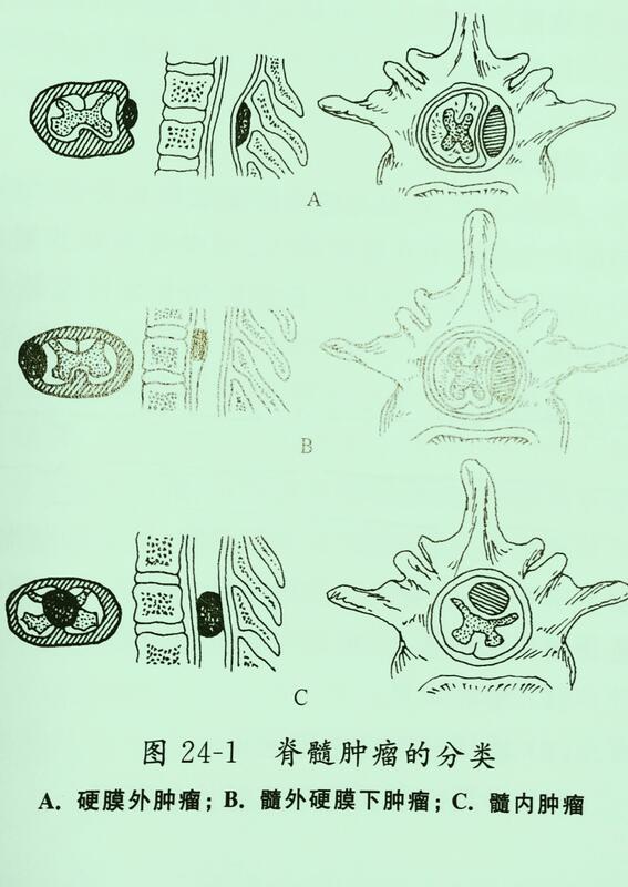 图文图片