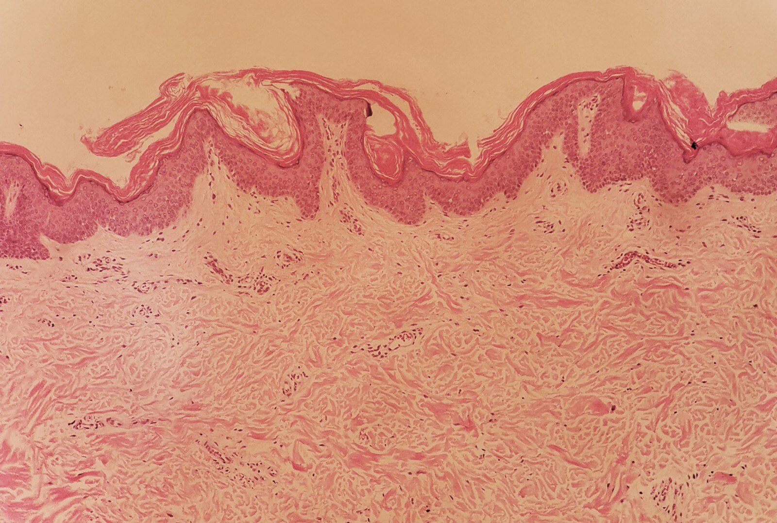 1597821583134105.jpg 1.jpg