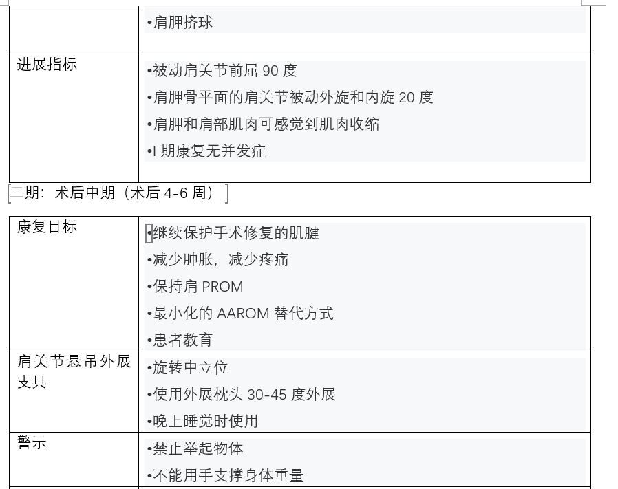 肩袖損傷術後康復