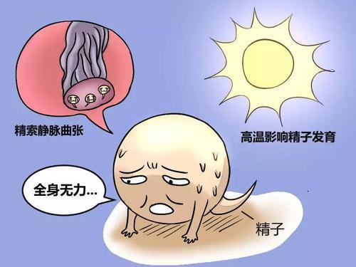 隐睾系列四:蛋蛋下不来的忧伤_隐睾_隐睾介绍 - 好大夫在线