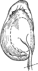 1609165803194136.png