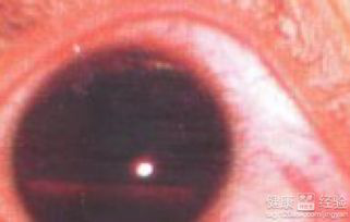 1613392706976753.png 32图片5.png