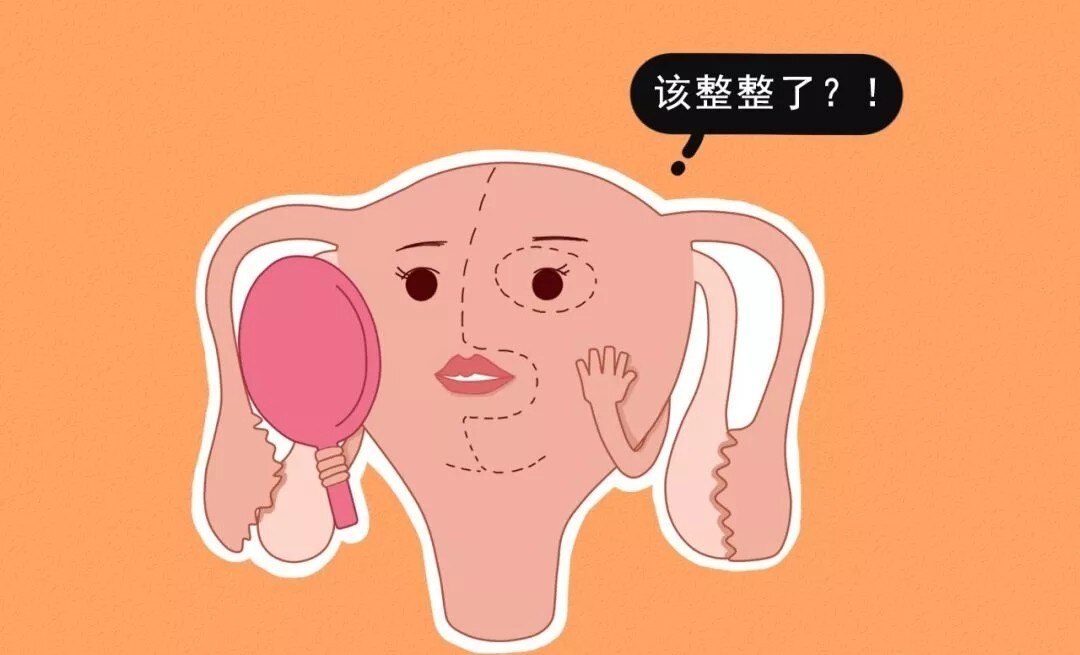 1613529550353393.jpeg 生理期.jpeg