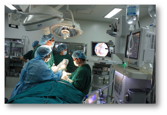 1608343281389347.png 内窥镜<!--HAODF:8:longxiong--><!--HAODF:8:longxiong-->丰胸<!--HAODF:/8:longxiong--><!--HAODF:/8:longxiong-->手术图.png