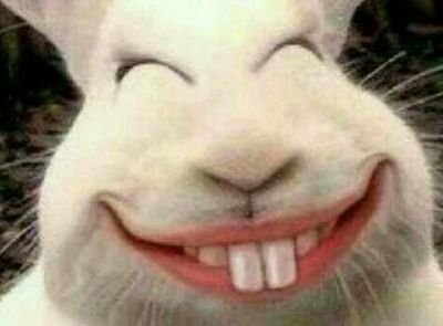 1611574737974671.jpg t01cd0e7a6496fab5f9.jpg