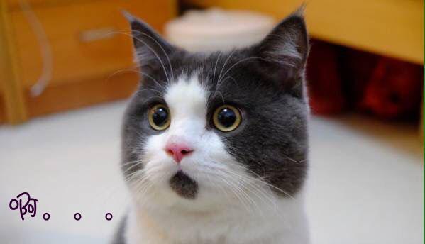 面对心脏大手术后的小宝宝,年轻的爸爸妈妈总是会不知所措,不知道怎么