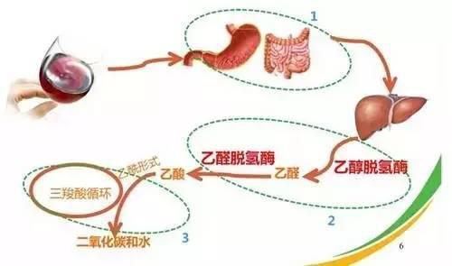 暂无