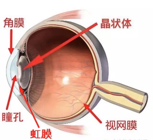 微信图片_20181127194451.jpg