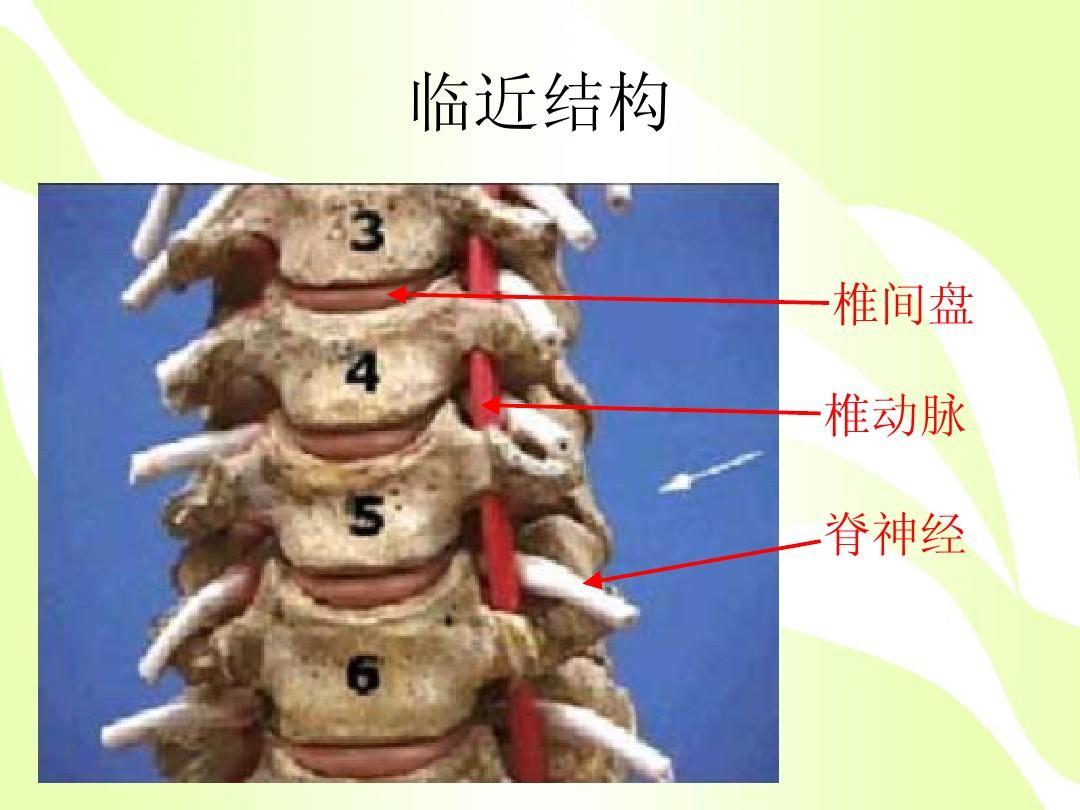 暂无