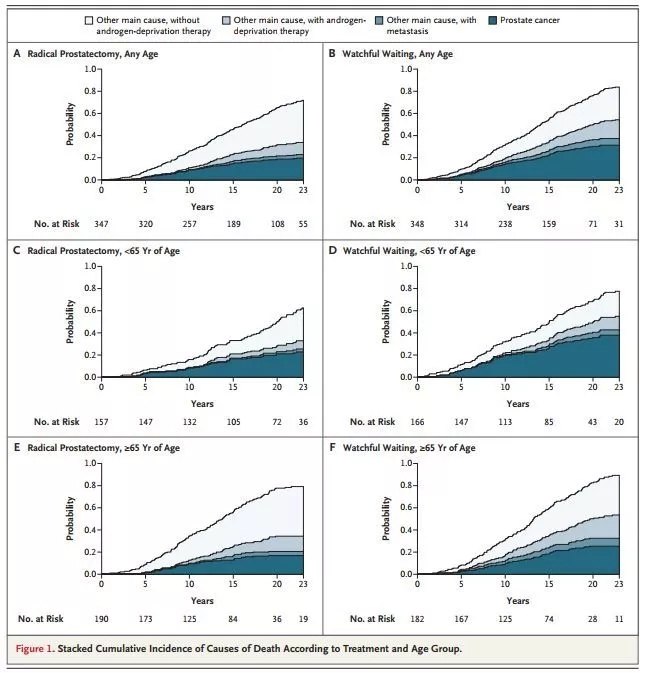 radical prostatectomy or watchful waiting in prostate cancer