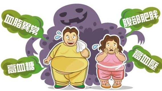肥胖会引起哪些代谢紊乱