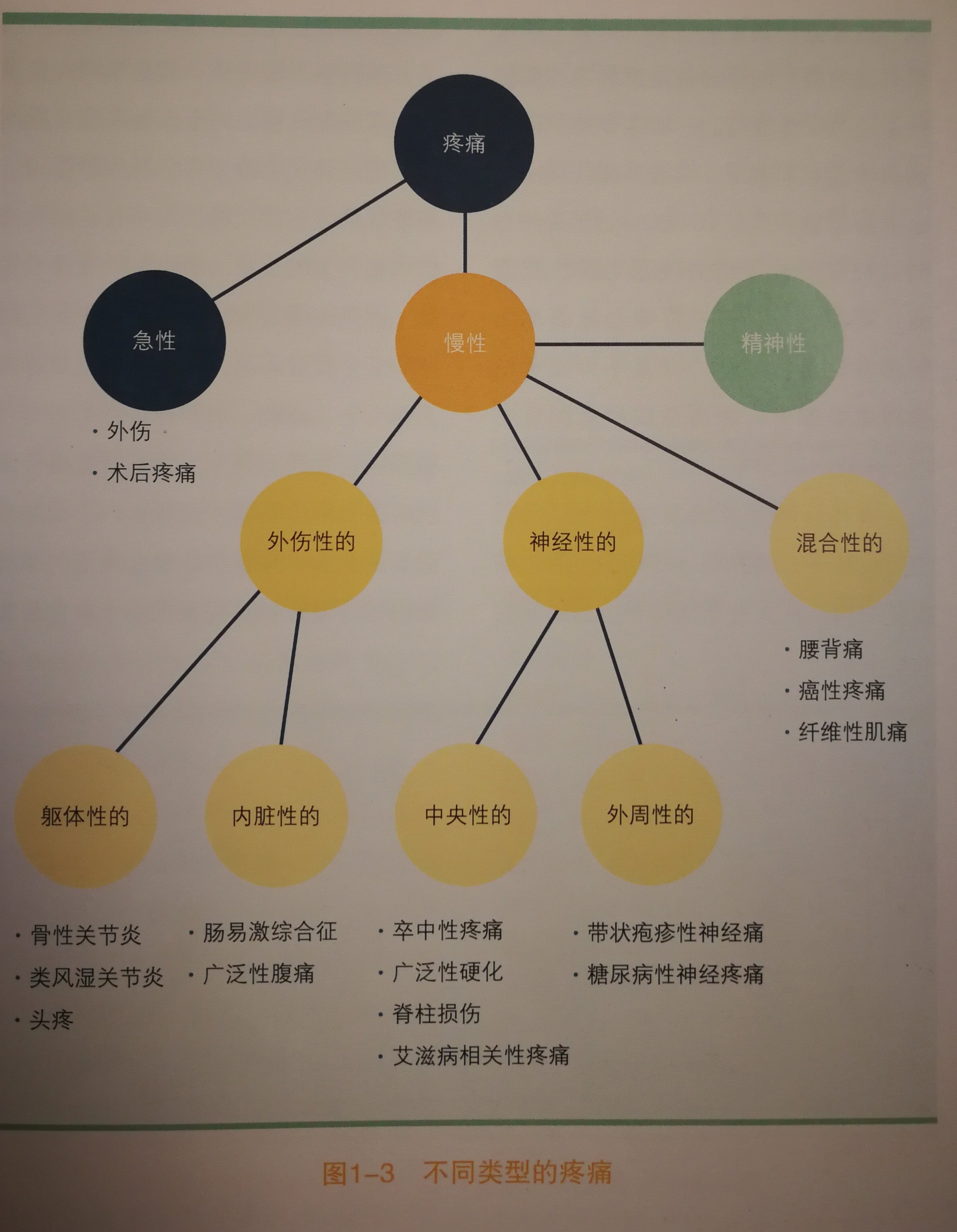 不同类型的疼痛 