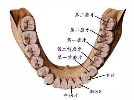 微信图片_20190416134331.png