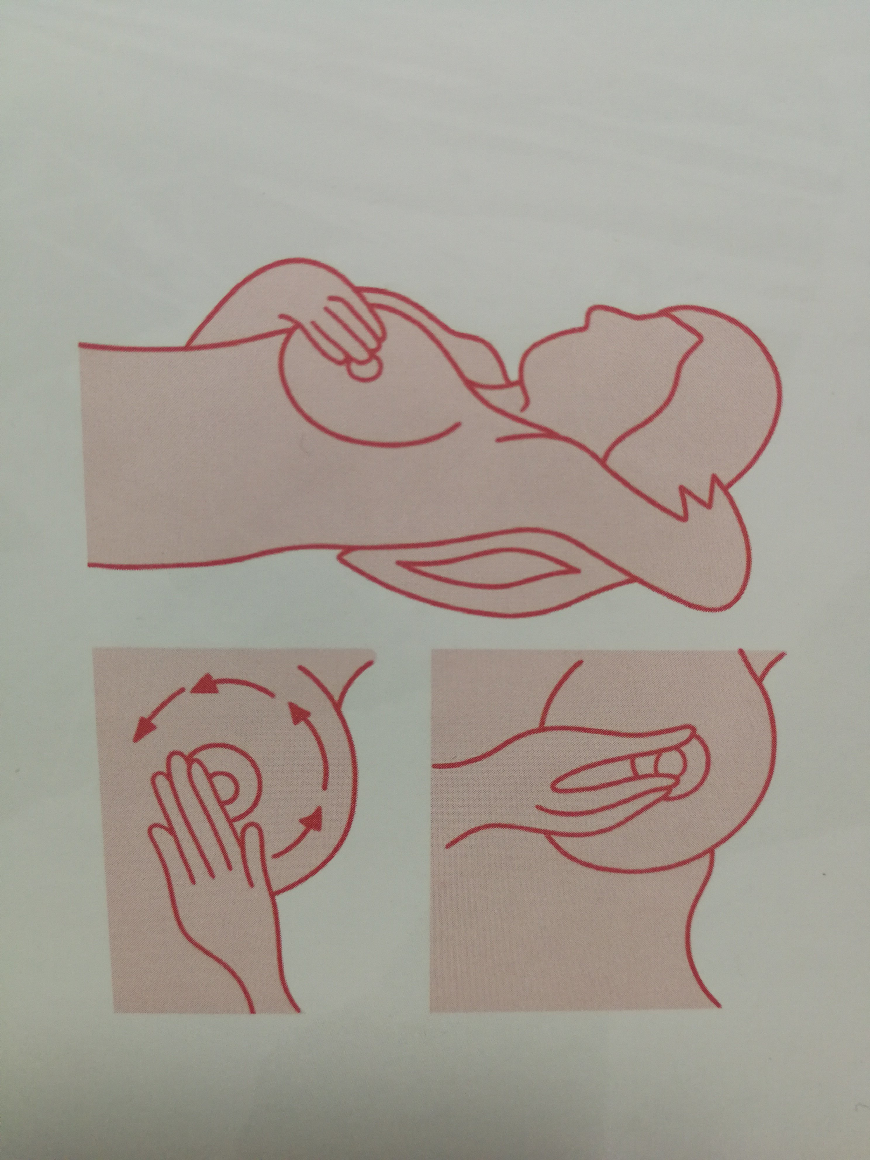 乳房自检方法图片