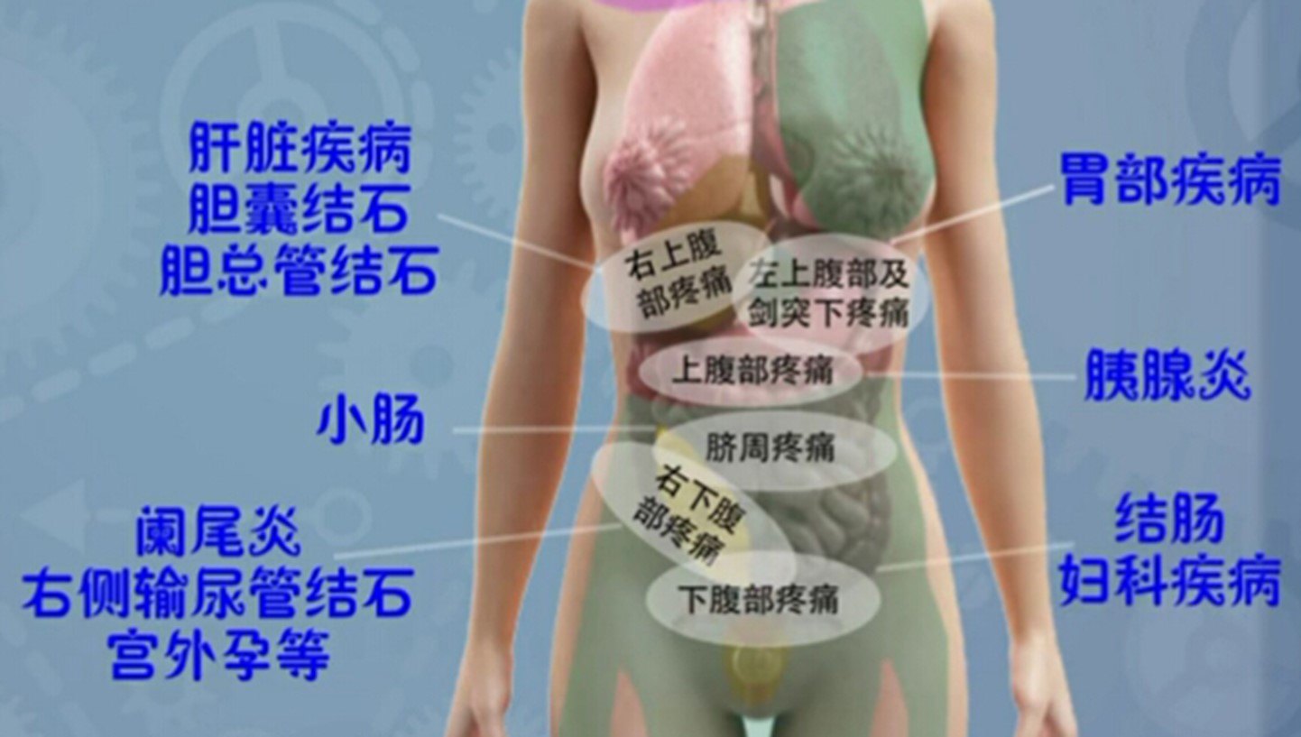 阑尾炎是哪里疼图示 uoYBAF40WnmAAWJEAAHqfrzJnes232.jpg?_ms_=099b