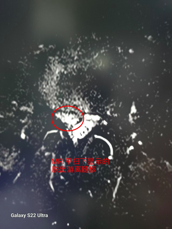 1161751866445_.pic_hd.jpg