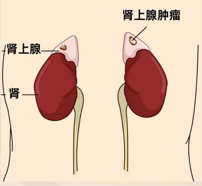 图文图片