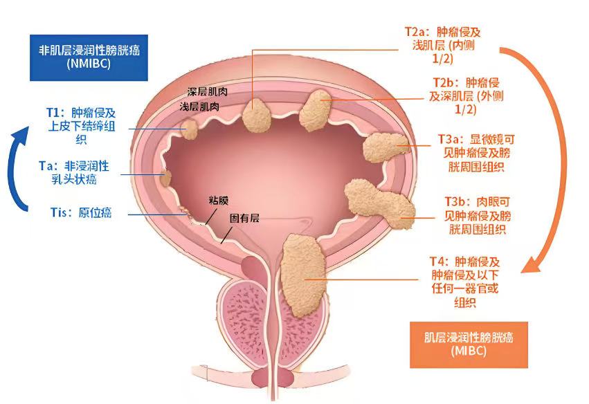微信图片_20251103205606_36.jpg