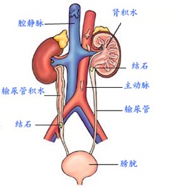 圖文圖片
