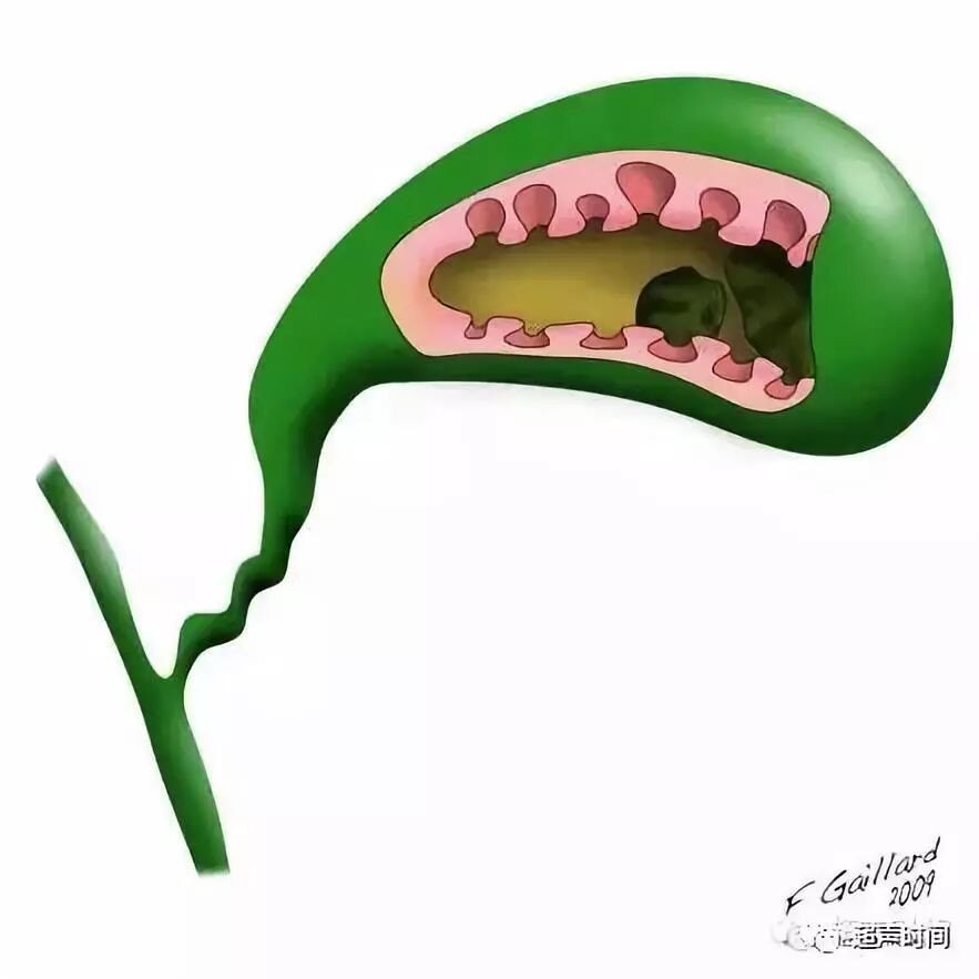 圖文圖片