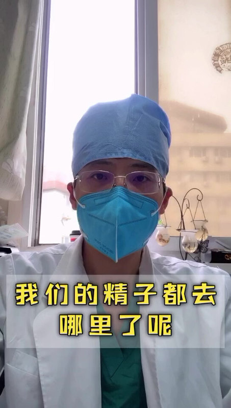 结扎后的精子都去哪了？